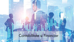 contabilitate financiar