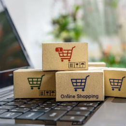 eccomerce_pluriva_erp